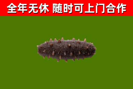 太和县烟酒回收干海参.jpg